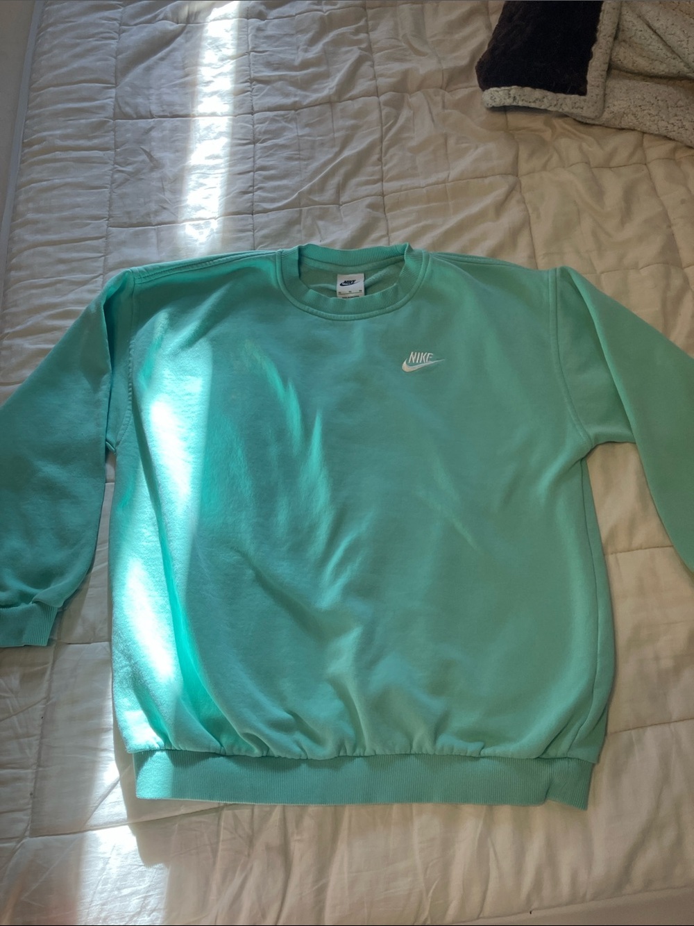 Nike Men's Crewneck Sweatshirt in Mint Teal with White Logo
